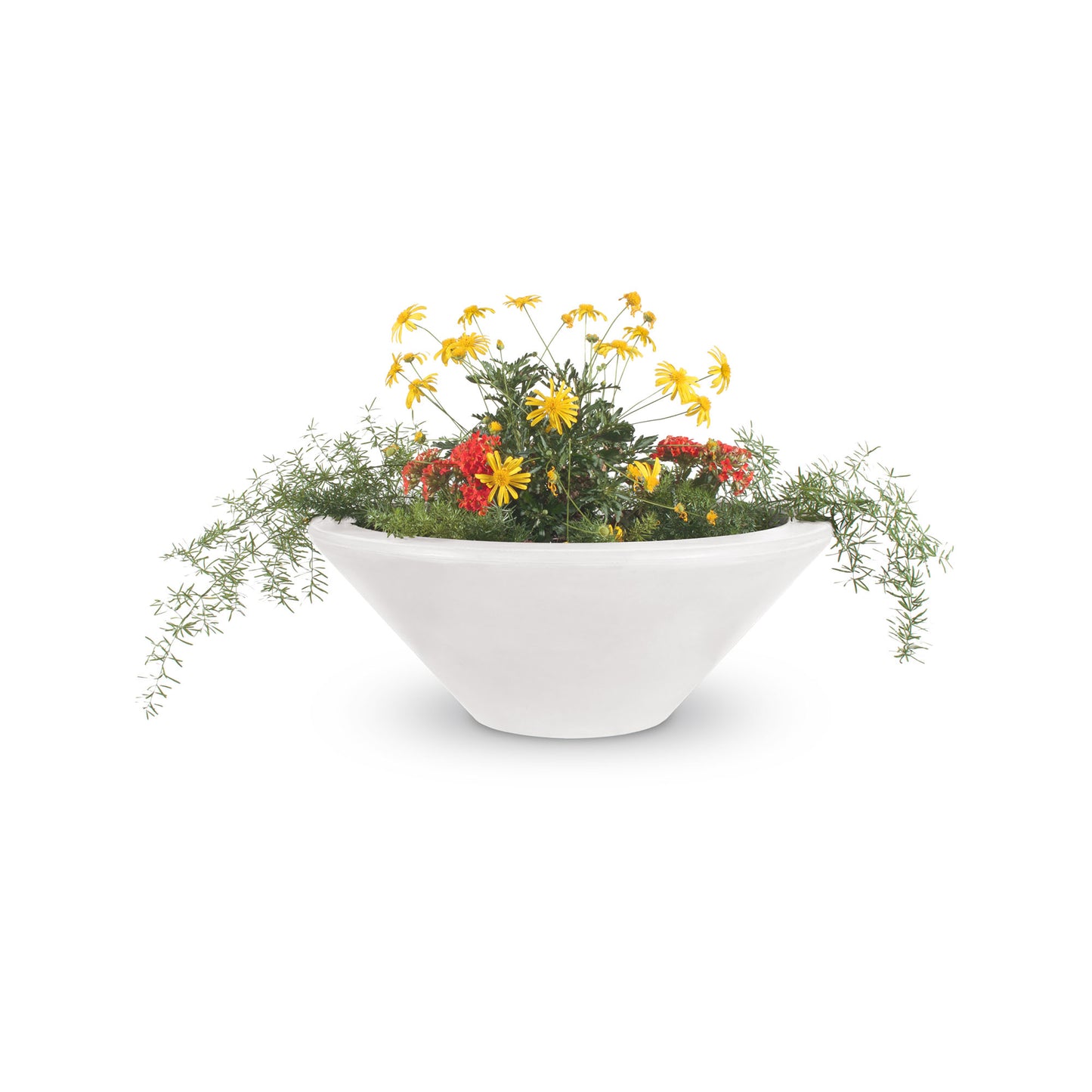 Cazo bowl white matte concrete finish perfect plant staging