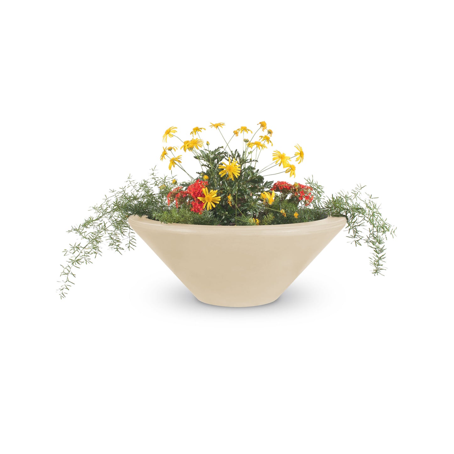 Cazo bowl vanilla matte concrete finish perfect plant staging