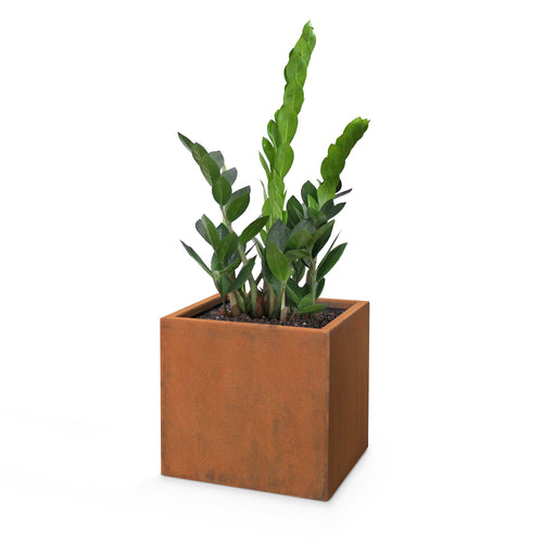 Square Moderna Corten Steel Planter